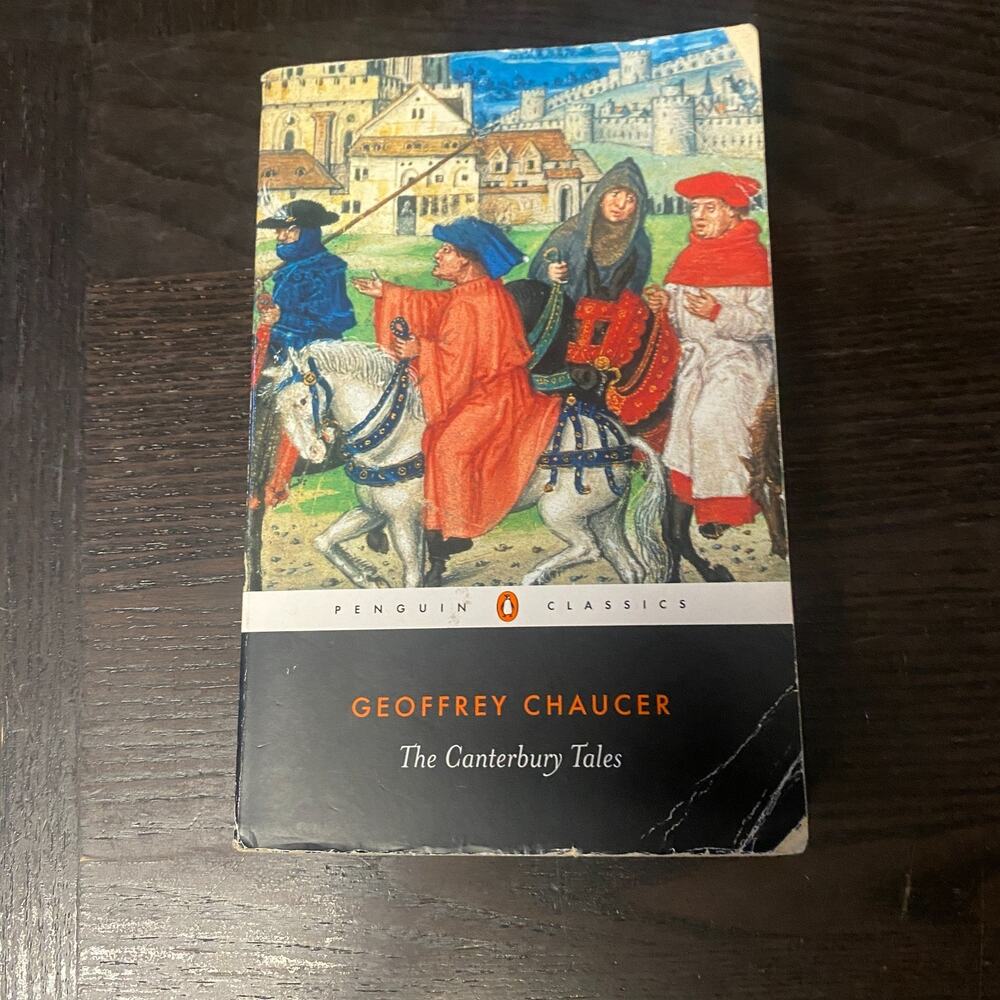 Canterbury Tales by Geoffrey Chaucer (2003, Uk-B Format Paperback)